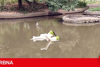 Vandala chytili strážníci přímo v rybníčku. V Olomouci poničil dílo známého sochaře